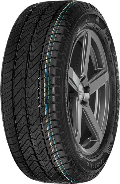 Dunlop Econodrive 225/55 R17 109/107 H C