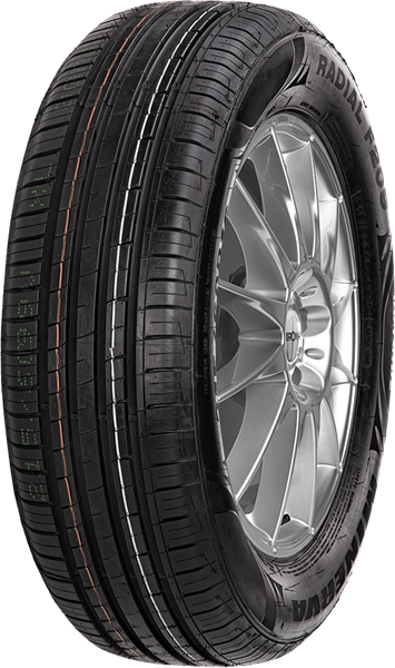 Minerva F209 205/70 R15 96 T