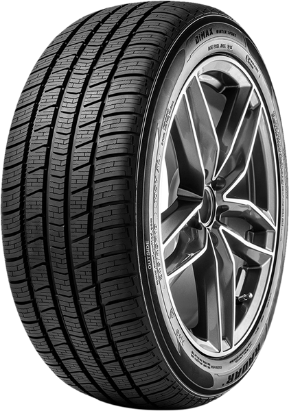 Radar Dimax Winter Sport 295/35 R21 107 V XL