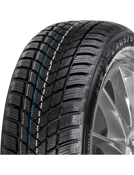 Elegantes Gt Radial Winterpro 2 Ebenbild