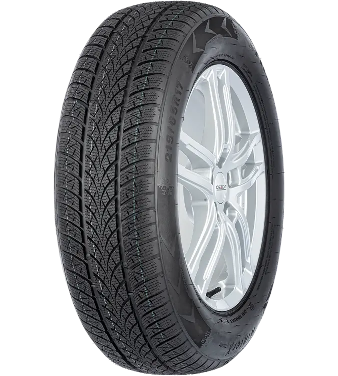 Triangle Winter X TW401 195/55 R16 91 H XL