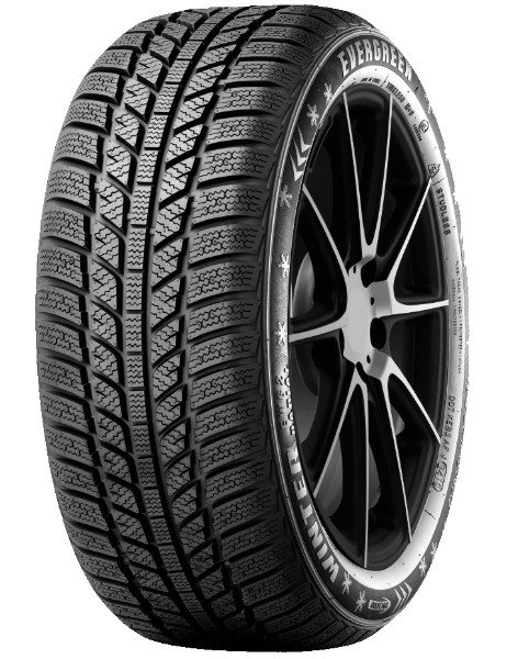 Evergreen EW62 195/65 R15 91 T